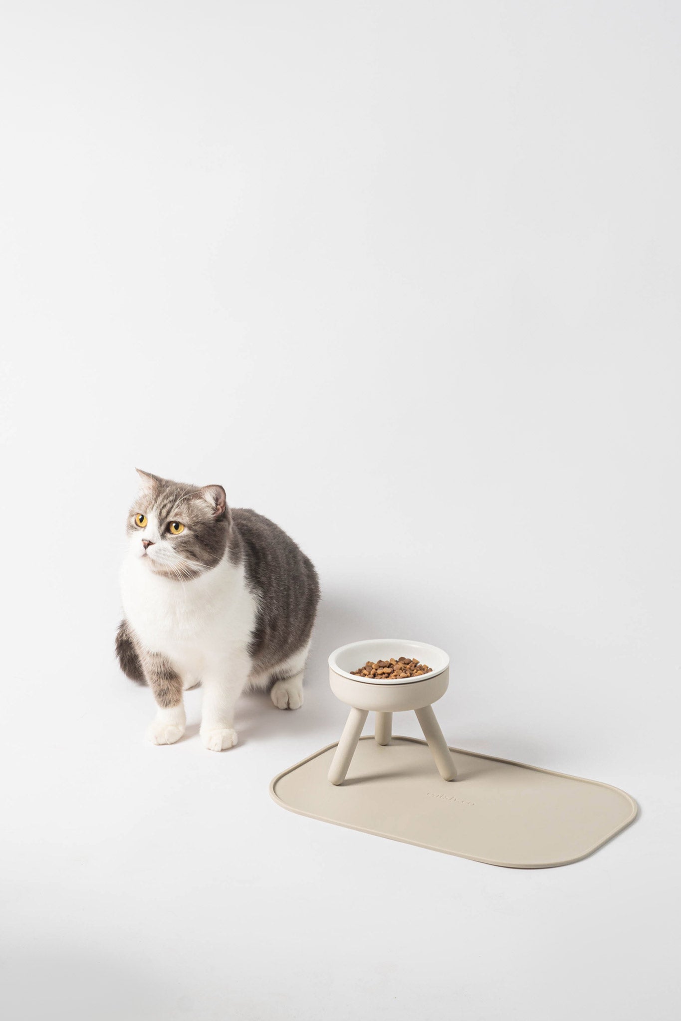 cat feeder table with porcelain bowl set –